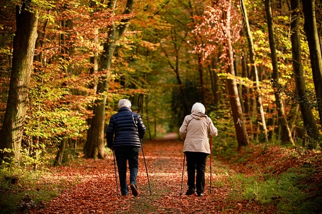 Senior home care services in Maryland - an image of elderly people walking through the woods in the autumn